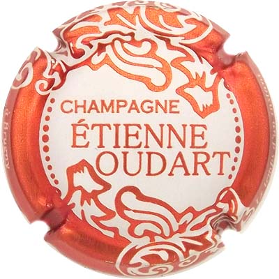 N°40a Blanc, contour orange métallisé
Photo René COSSEMENT
