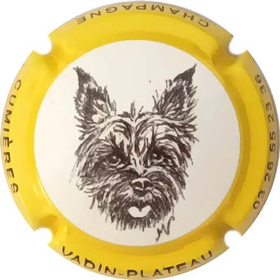 N°41d Contour jaune
Photo René COSSEMENT
