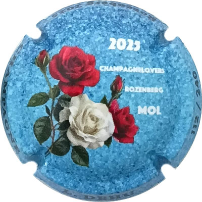 N°426 Fond bleu ciel, N°XXX-240
Photo René COSSEMENT
