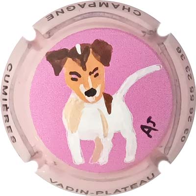 N°44 Palm, contour rose
Photo René COSSEMENT
