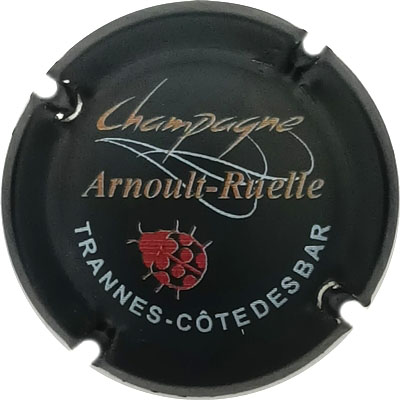 N°04x-nr Noir, Trannes en blanc, mat
Photo René COSSEMENT
