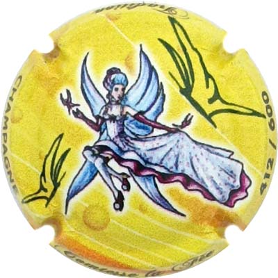 N°052d Fond jaune, N°XXX-600
Photo René COSSEMENT
