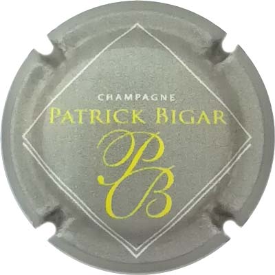 N°05d Gris, jaune et blanc
Photo René COSSEMENT
