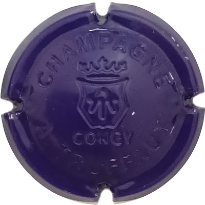 N°05z Estampée, violet foncé
Photo René COSSEMENT
