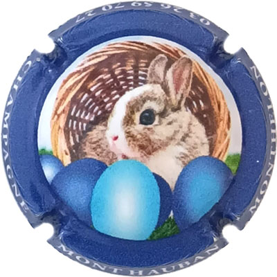 N°092b Contour bleu
Photo René COSSEMENT
