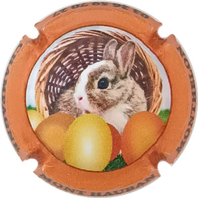 N°092c Contour  orange
Photo René COSSEMENT
