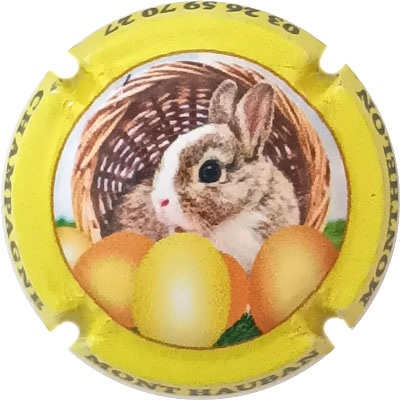 N°092d Contour jaune
Photo René COSSEMENT
