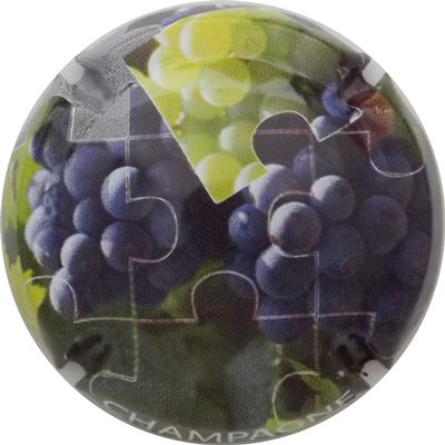 N°1049a Puzzle, Grappes de raisins
Photo René COSSEMENT
