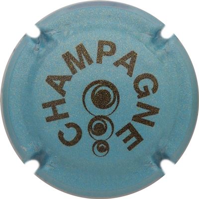 C160 Pailleté, bleu et noir
Photo René COSSEMENT
