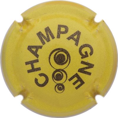 C160 Pailleté, jaune et noir
Photo René COSSEMENT
