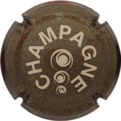 C160 Pailleté, kaki et noir
Photo René COSSEMENT
