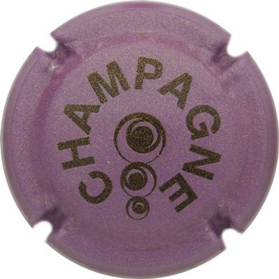 C160 Pailleté, mauve et noir
Photo René COSSEMENT
