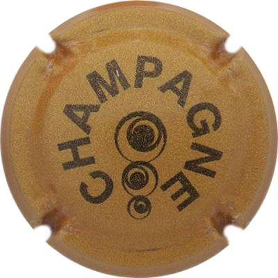 C160 Pailleté, ocre et noir
Photo René COSSEMENT
