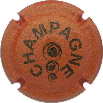 C160 Pailleté, orange et noir
Photo René COSSEMENT
