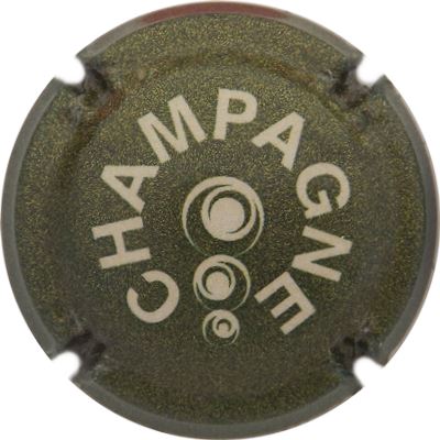 C160 Pailleté, vert et crème
Photo René COSSEMENT
