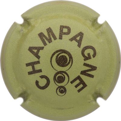 C160 Pailleté, vert pale et noir
Photo René COSSEMENT
