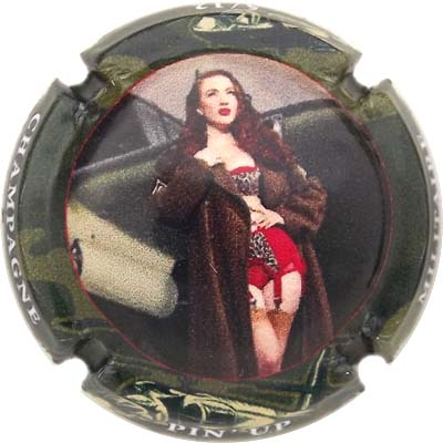 C175d Pin Up 5-12
Photo René COSSEMENT
