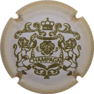 C177d Centre blanc, blason kaki
Photo René COSSEMENT
