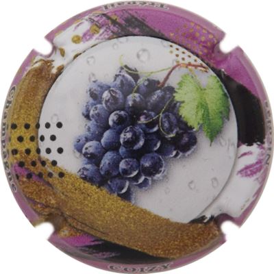 N°02 Grappe de raisin, contour violet
Photo René COSSEMENT
