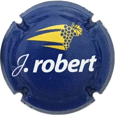 N°34 Bleu foncé, jaune et blanc
Photo René COSSEMENT
