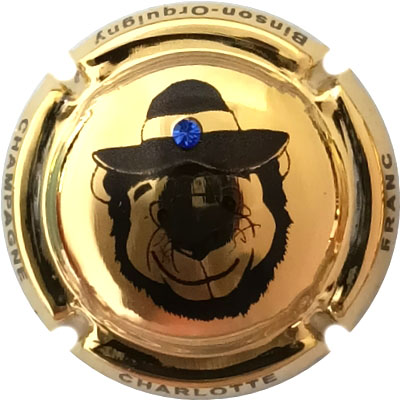 N°NR Plaqué or, strass, N°XXX-300
Photo René COSSEMENT
Mots-clés: NR