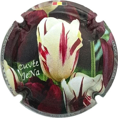 N°425b Cuvée JeNa, N°XXX-240
Photo René COSSEMENT
