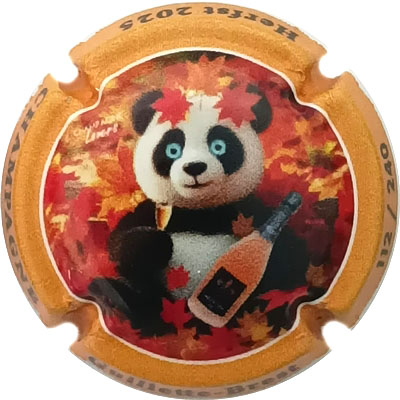 N°278a Contour orange, N°XXX-240
Photo René COSSEMENT
