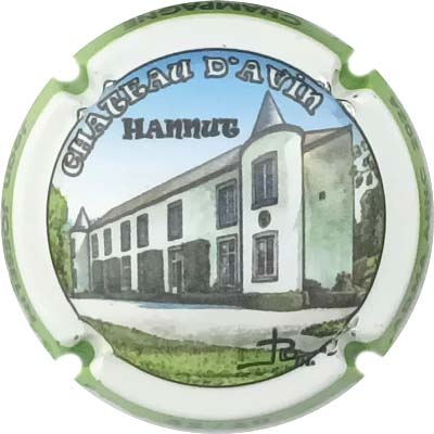 N°45a Château d'Avin, jéroboam, contour vert, N°XX-60
Photo René COSSEMENT
