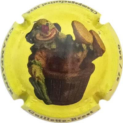 N°NRd Fond jaune, N°XXX-240
Photo René COSSEMENT
Mots-clés: NR