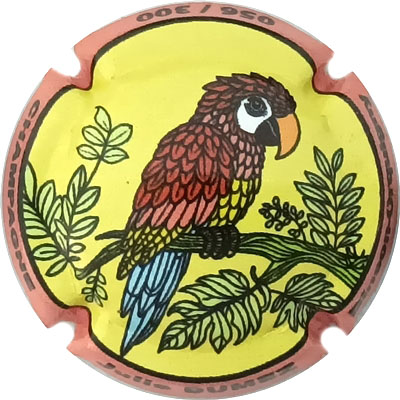 N°40 Contour orange, N°XXX-300
Photo René COSSEMENT
