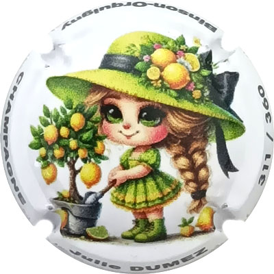 N°43 Lutin, N°XXX-360, série de 6
Photo René COSSEMENT
