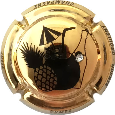 N°NR  Plaqué or, strass, N°XXX-300
Photo René COSSEMENT
Mots-clés: NR