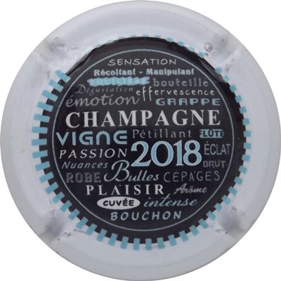 N°0903e Champagne 2018, Gris, contour blanc
Photo René COSSEMENT
