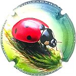 25-02a_Coccinelle.jpg