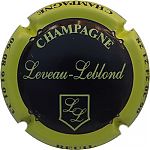 LEVEAU-LEBLOND_Ndeg10d_Noir2C_contour_jaune.JPG