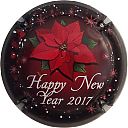 Ndeg959a_Happy_New_Year_2017.JPG